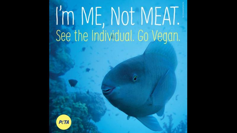 Billboards will remind everyone that one can spare sensitive aquatic animals agony of being suffocated, impaled, crushed, and cut open simply by choosing vegan meals.