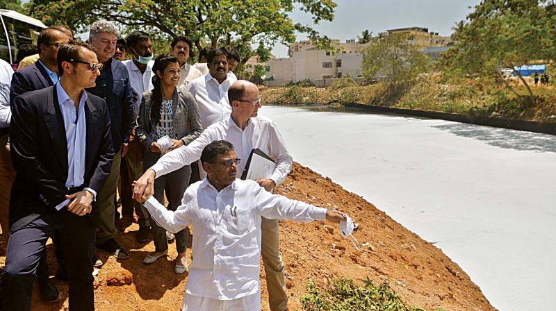 Experts from UK and Israel along with representatives from Karnataka State Industrial and Infrastructure Development Corporation visit Bellandur lake in Bengaluru on Friday. (Photo:DC)