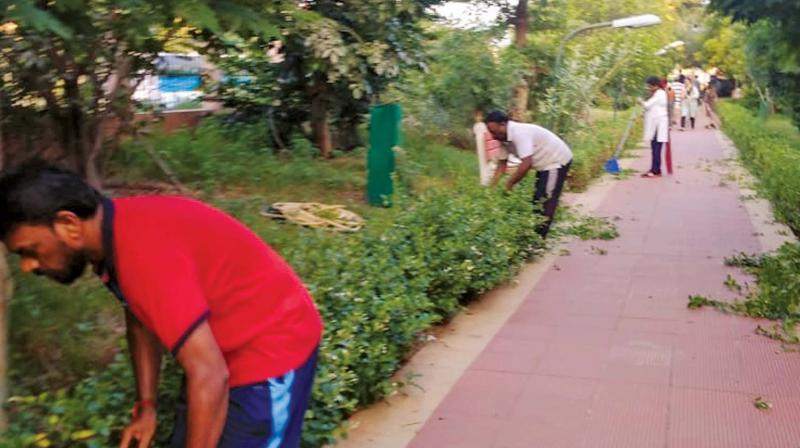 Volunteers take up cleaning work in Kotturpuram  corporation park.