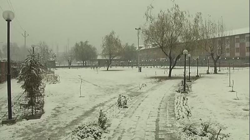 The situation will be reviewed around noon and if visibility improves flight operations will be restored, Director of Srinagar airport, Sharad Kumar said. (Photo: Twitter | ANI)