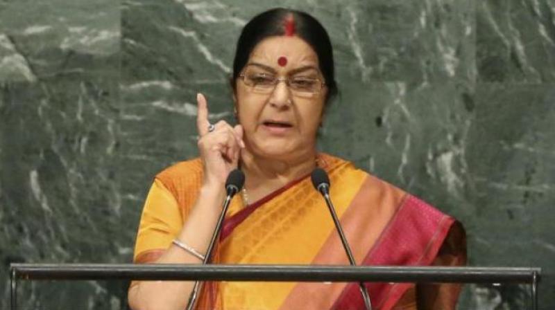 According to a member present in the meeting, External Affairs Minister Sushma Swaraj clarified that terrorism and cricket cant go hand in hand. (Photo: AP)
