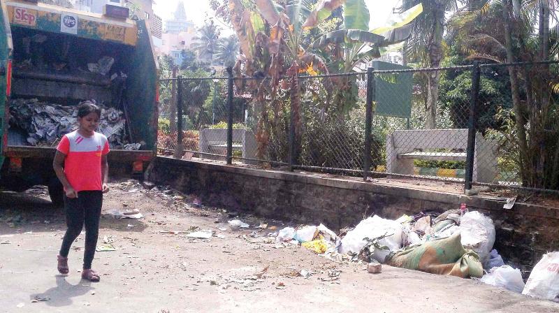 Garbage accumulated near Indira Priyadarshini Park at Shankar Nagar	DC