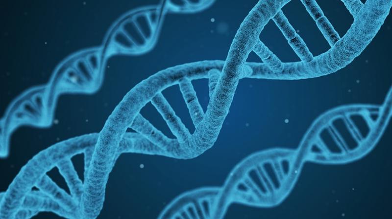 Study finds new way to reverse DNA damage caused by cancer treatment.