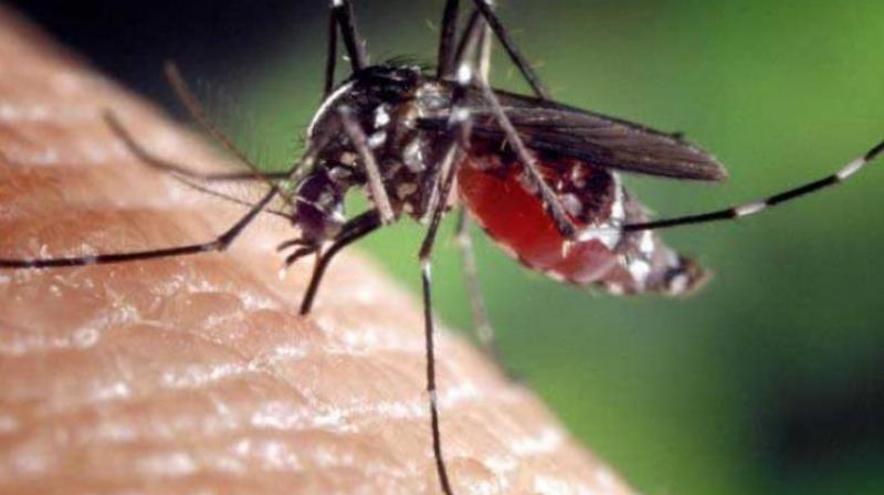 A health officer said that blood testing kits must be made available to field staff, as it is in the malaria programme, and the exact incidence in the community noted.  (Representational image)