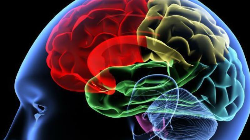 As you understand the fundamentals of brain function, you can better recognise signs of dysfunction. To understand disease, you must understand health.  Prof. Upinder S. Bhalla (Representational image)