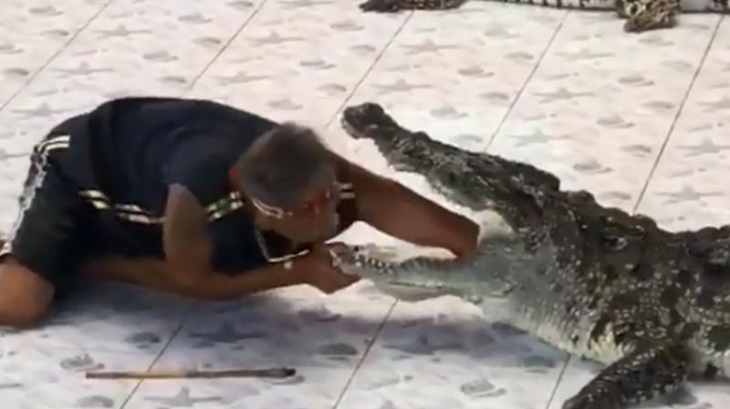 A visitor who recorded the incident said that the video seems to show that the crocodile didnt like the arm near its jaws (Photo: YouTube)