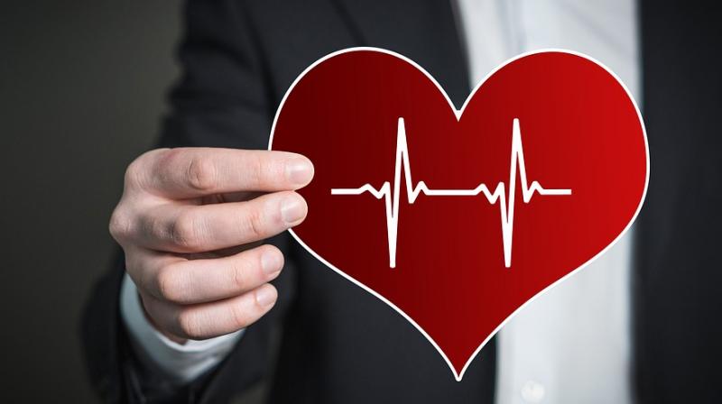 Researchers find link between exposure to toxic metals and heart disease. (Photo: Pixabay)