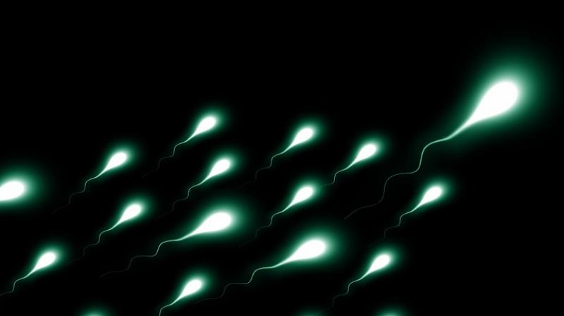 Researchers discovers a tablet that can affect mens fertility. (Photo: Pixabay)