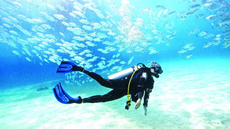 Scuba diving is gaining popularity as a sport.