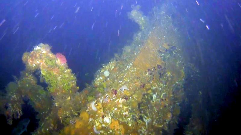 This July, 2018 photo from video provided by Project Recover shows a gun shows a portion of the coral-encrusted stern of the destroyer USS Abner Read in the waters off Kiska Island, Alaska. (Photo: AFP)