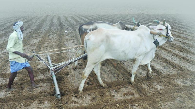 More than Rs 1,000 crore to be given to SC, ST farmers as the final part of the loan waiver scheme are held up with the district administrations due to the lack of proper records with the agriculture department.