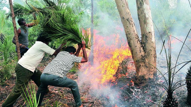 Forest staff put off fire in Seshachalam forest to prevent it from spreading to other areas in Tirumala.