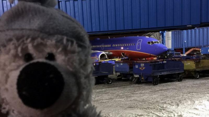 Teddy bear takes Detroit Airport adventure after being found