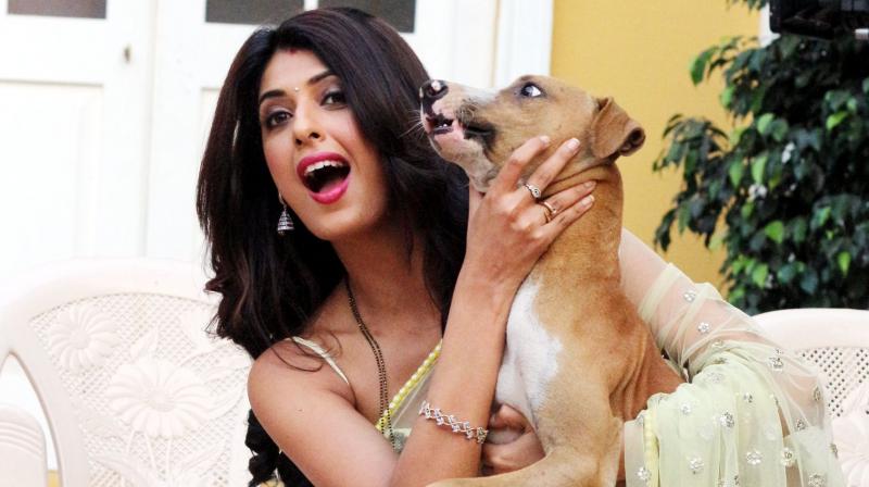 Telly stars make  furry friends on set