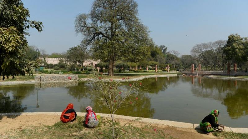 The park is part of the historic complex that surrounds Humayans Tomb (Photo: AFP)