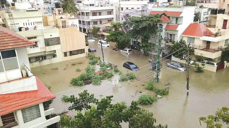 Flooded homes, uprooted trees, marathon power cuts and dinghies ferrying people around: Bengaluru awoke to chaos as the city recorded its highest rain in a 24-hour span since 1890.