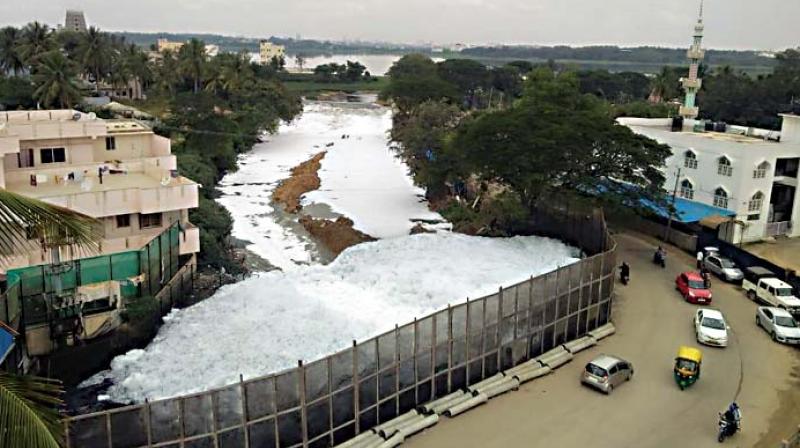 A frothed up Bellandur Lake