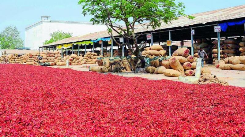 The chilli growers called off their hunger protest at Guntur on Thursday in view of an assurance from the government.