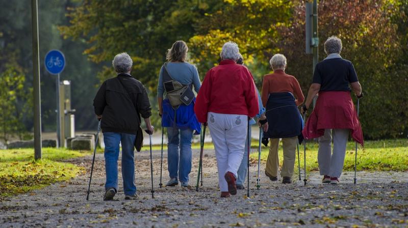 Moderate-intensity walking regimen may reduce symptoms of mild cognitive impairment that are linked to poor blood vessel health in the brain. (Photo: Pixabay)