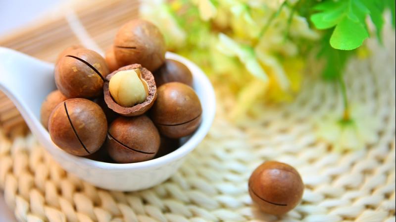 Even though nuts are quite high in fat, they are also high in fibre and protein. (Photo: Pixabay)