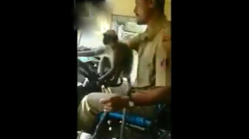 For a moment, the driver even allowed the langur to take control of the steering wheel, while he changed gears. (Screengrab | ANI)