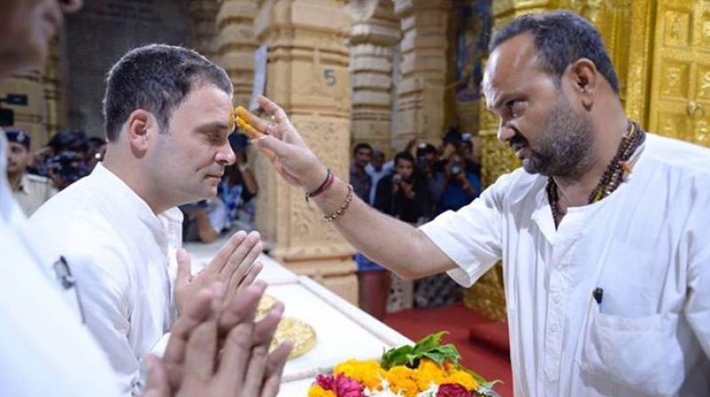 Rahul Gandhi was paying a visit to the temple ahead of  a two-day campaign in the state and is expected to address multiple rallies. (Photo: Twitter/@INCGujarat)