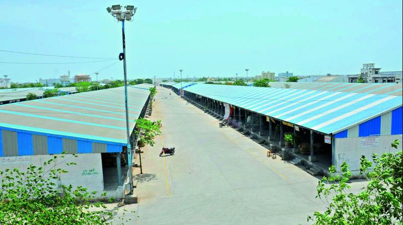 The Asias  biggest chilli yard at Guntur which is now facing menace of illegal licences. The marketing department proposed to suspend  licences of 85 traders.