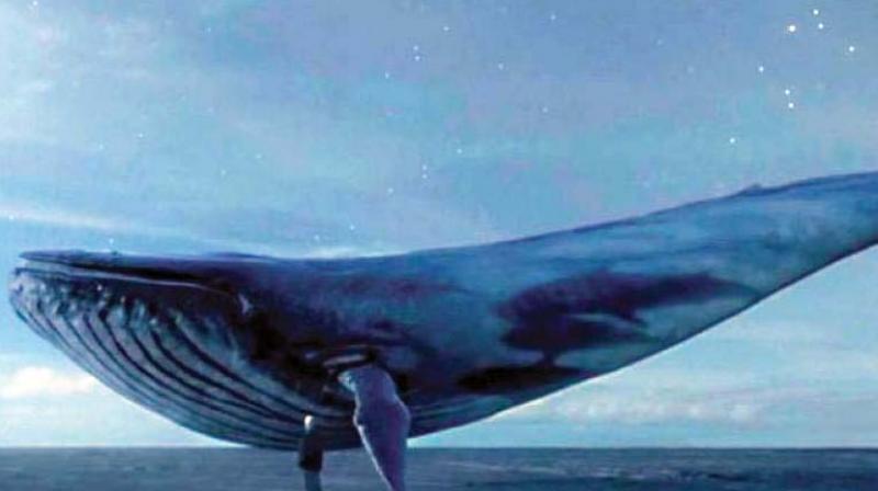 The victim, Ajay Kumar, a native of Madhubani district in Bihar, was suspected to be playing Blue Whale challenge and was to kill himself to complete the level 50 of the game.