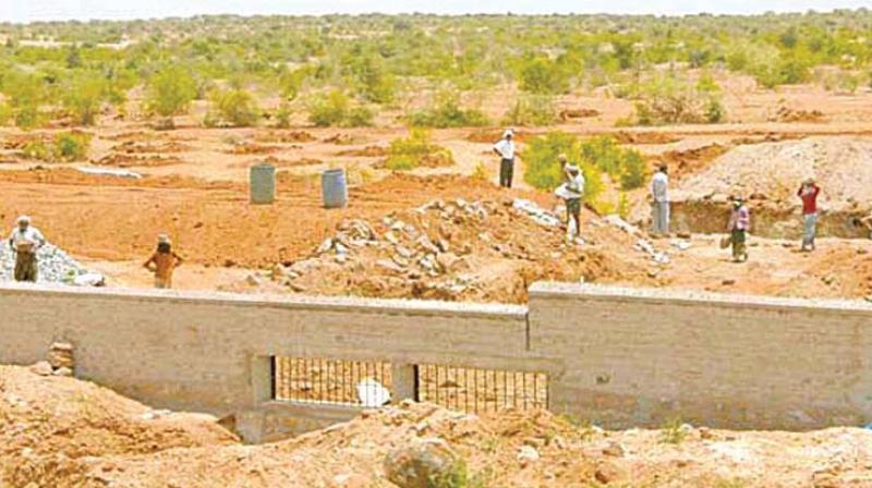 Grazing land at Challakere taken over by the government