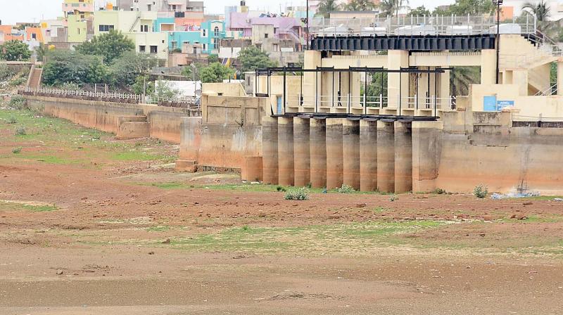 The fully dry Red Hills lake (Photo: DC)