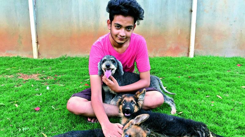 Zabi Khan with a few puppies