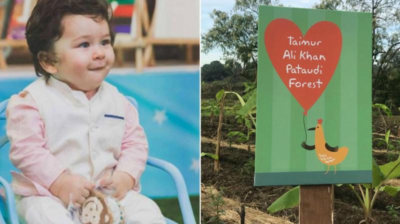 Taimur Ali Khan receives a forest on first birthday.