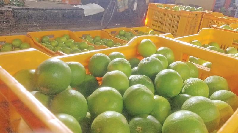 Sweet lime up for sale at Koyambedu fruit market on Monday. (Photo: DC)