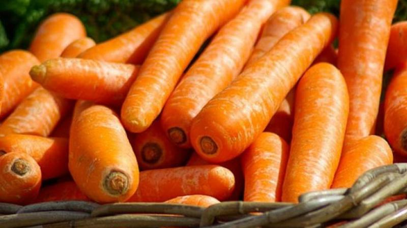 At present, carrot is available for Rs 52 per kg at wholesale market and for Rs 65 in Rythu bazaars and Rs 100 at retail markets.