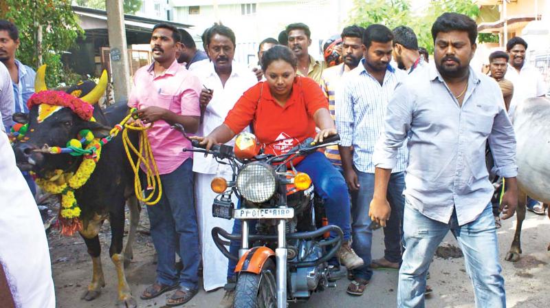 A 28-year-old-year bike rider, Maheswarii Marimuthu, from Puducherry along with jallikattu enthusiasts before she was detained by rural police in Madurai on Wednesday. (Photo: DC)