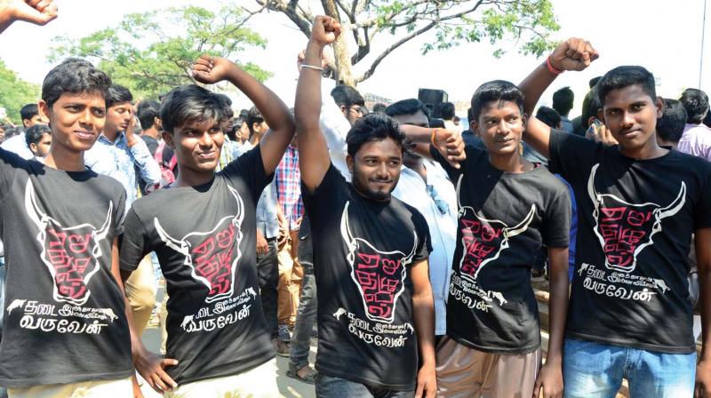 Youngsters wear pro-jallikattu T-shirts at a protest held at VOC Park Grounds in Coimbatore (Photo DC)