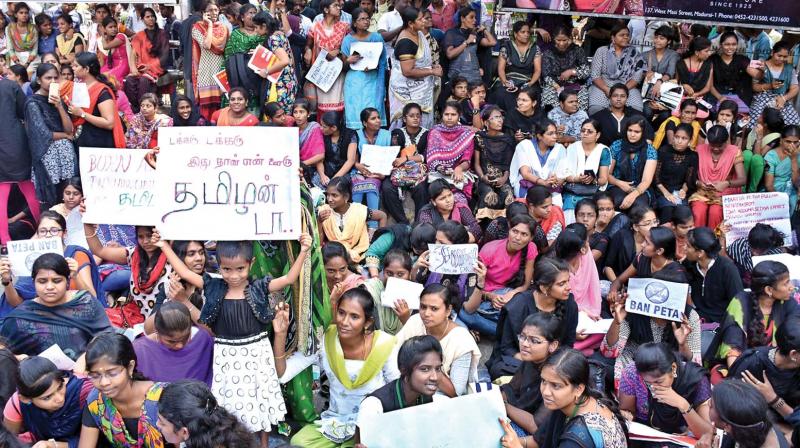 Girls protesting at Tamukkam demand the lifting of ban on jallikattu at Madurai on Wednesday. (Photo: K. MANIKANDAN)