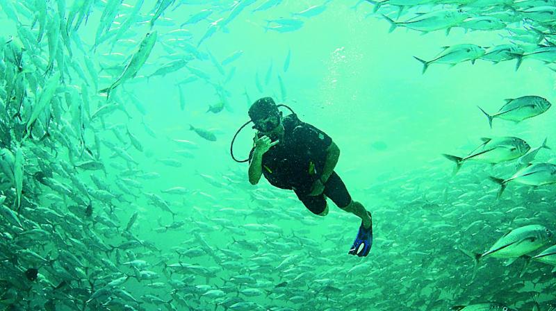 Scuba diving in Sipadan in Malaysia by Dheeraj M. Nanda.