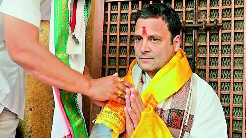 Congress vice-president  Rahul Gandhi offers puja  at the Ranchhodji temple, Dakor, district Kheda district, Gujarat, on Sunday. (Photo: PTI)