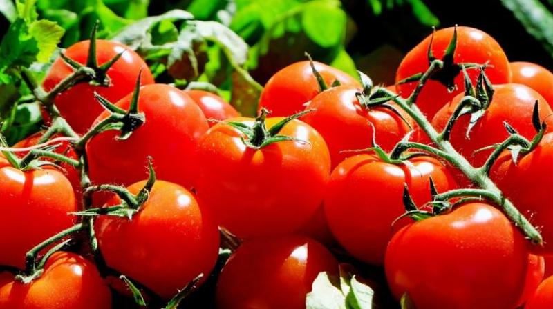 With the price of tomato showing no signs of abating after hitting the three-figure mark three weeks ago, hapless consumers are taking to social media to grin and bear it.