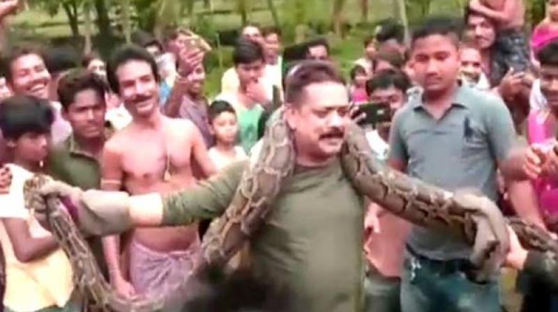 The 18-foot python that weighed 40 kgs started wriggling, twisting and turning around the forest rangers neck. (Photo: Screengrab)