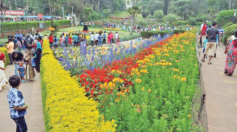 Visiters take a stroll at the Kodai summer festival in Kodaikanal. (Photo: DC)