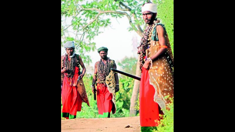 Adivasi dance masters long years of struggle to keep their traditional Gussadi and Dhimsa art forms alive in the old Adilabad district and in bordering Maharashtra are beginning to bear fruit.