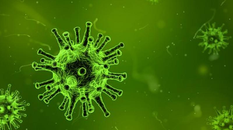The deposition rates for viruses were nine to 461 times greater than the rates for bacteria. (Photo: Pixabay)