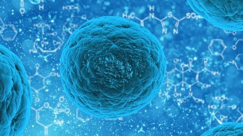 The stem cell treatment carried a higher risk of death, however, along with more serious side effects in the short-term. (Photo: Pixabay)