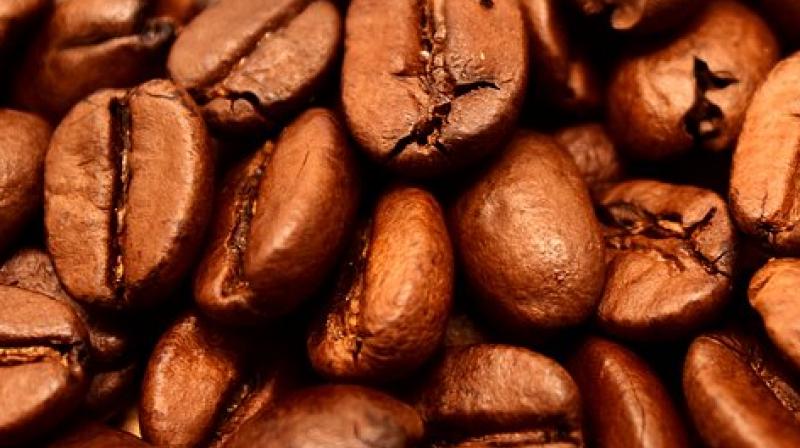 People with Parkinsons disease had significantly lower blood levels of caffeine and nine of the 11 byproducts of caffeine in the blood. (Photo: Pixabay)