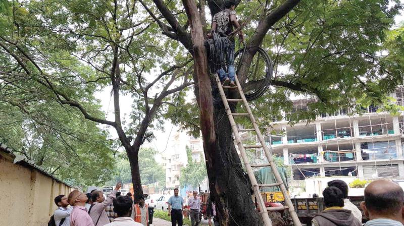 File picture of a BBMP employee removing unauthorised cables near Richmond circle in Bengaluru 	(Photos :KPN)