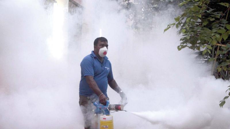 Dengue, chikungunya, H1N1 cases flood city after rains