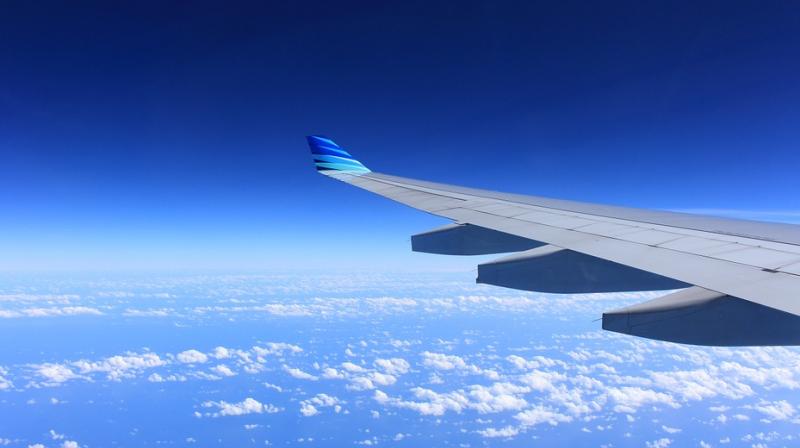 The plane took off late Sunday afternoon and climbed to a cruising altitude of just over 35,000 feet. A little over an hour later, it rapidly gained altitude and then dropped drastically within minutes. (Representational Image/ Pixabay)
