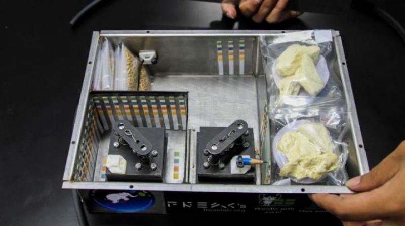 The test will use a dried and vacuum-sealed version of the fruit, which packs much less of an odour. (Photo: AFP)